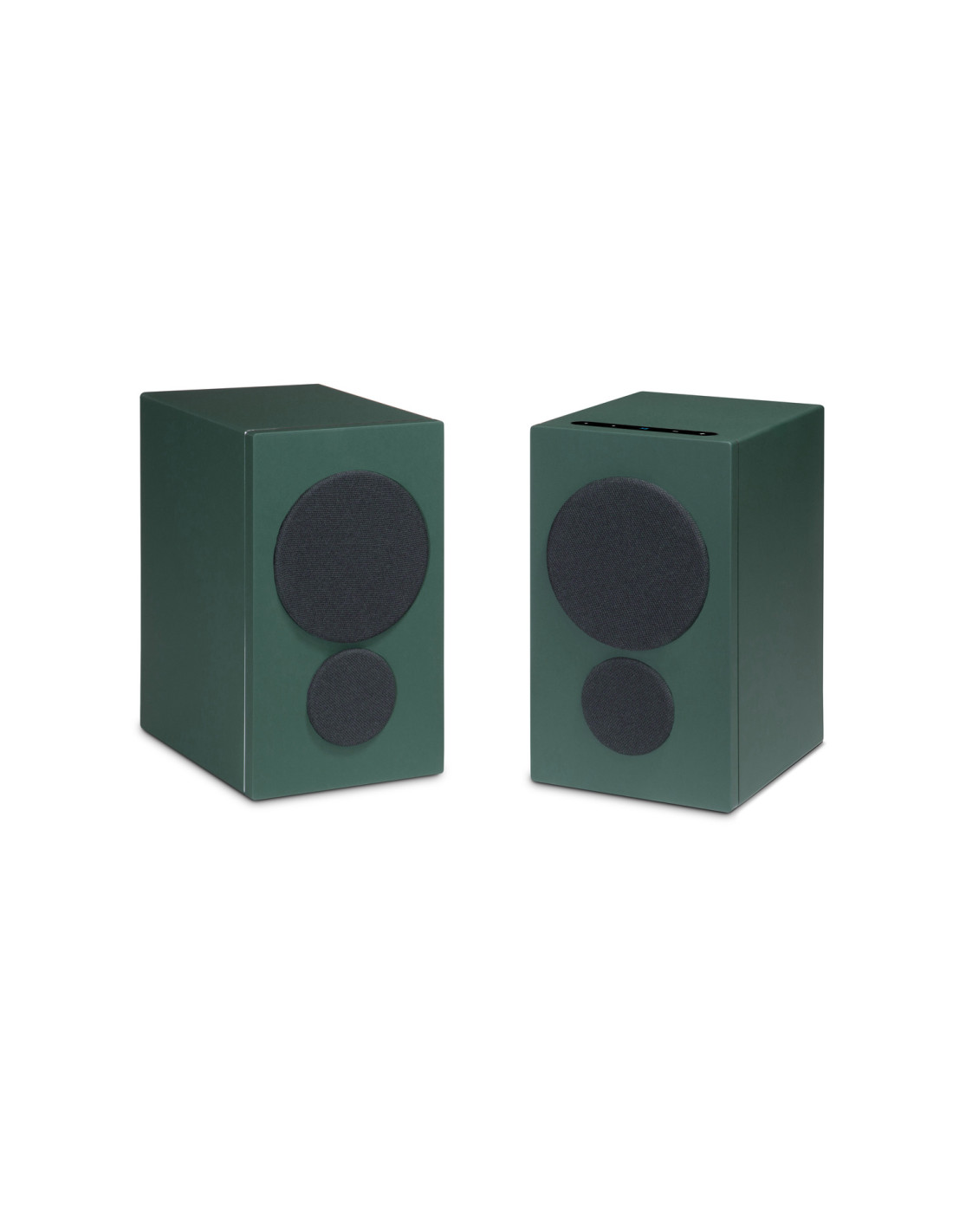 psb-iq-2 (15)