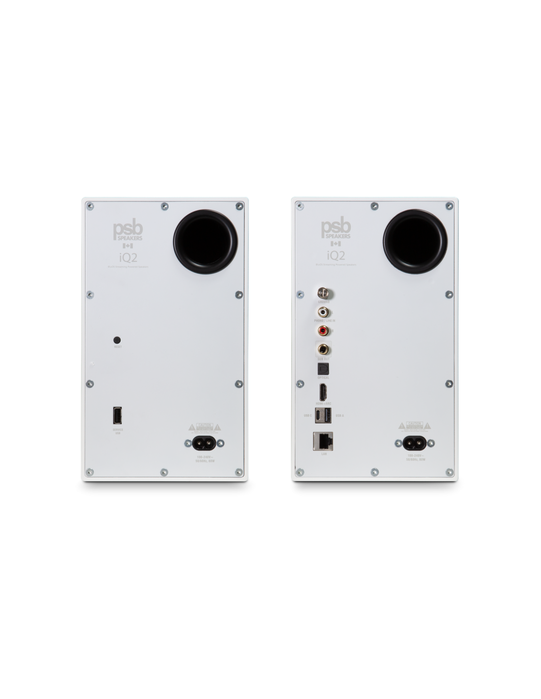psb-iq-2 (29)
